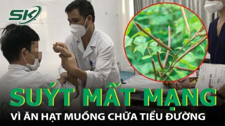 Nghe “Bác Sĩ Mạng” Ăn Hạt Muồng Chữa Tiểu Đường, 2 Vợ Chồng Liệt Tứ Chi – Chuyên Gia Nói Gì I SKĐS