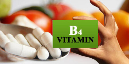 Vitamin B4 và những điều chưa biết